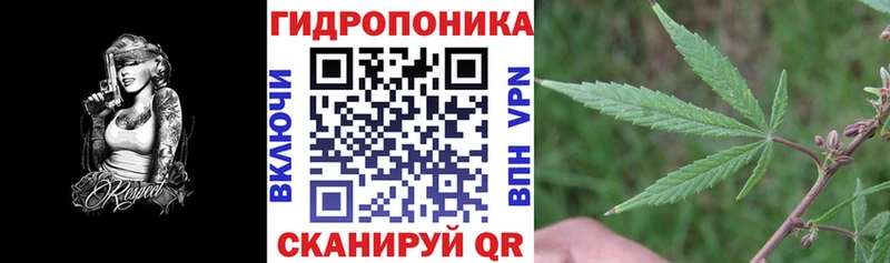 Купить закладку МАРИХУАНА  МЕФ  АМФ  Гашиш  Сясьстрой