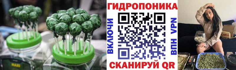 Купить  Сясьстрой  Canna-Cookies марихуана 