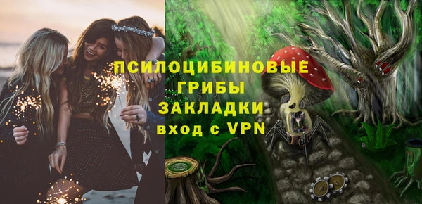дживик Богородицк