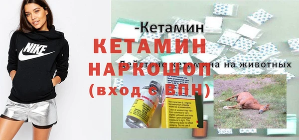 дживик Богородицк