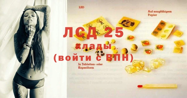 дживик Богородицк
