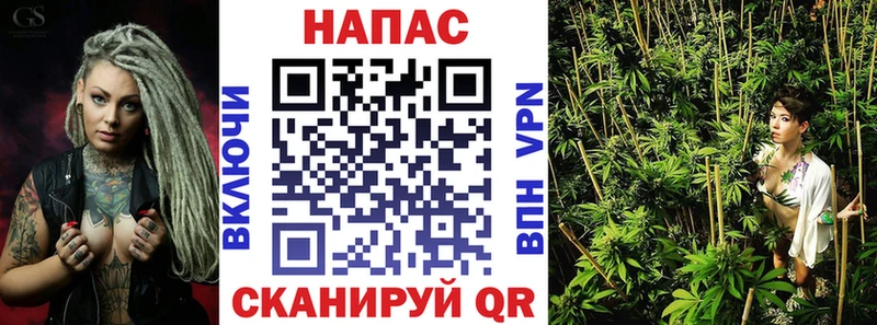 Купить закладки  Сясьстрой  Канабис марихуана 